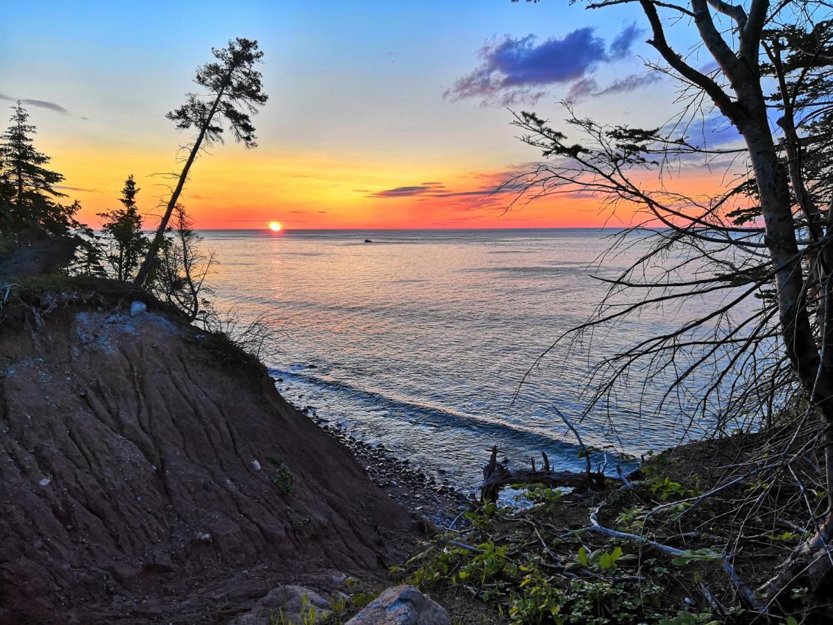 North Shore Retreat - Off-Grid - Oceanfront Indian Brook Exterior foto
